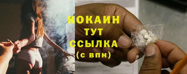 гидра Костерёво