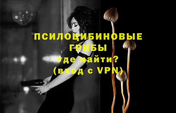 ECSTASY Корсаков