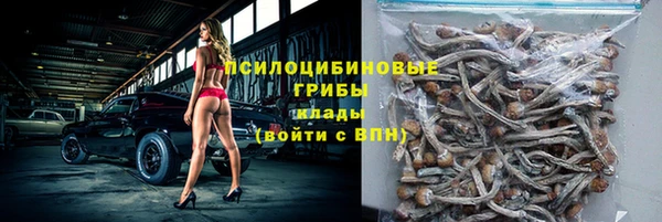 ECSTASY Корсаков